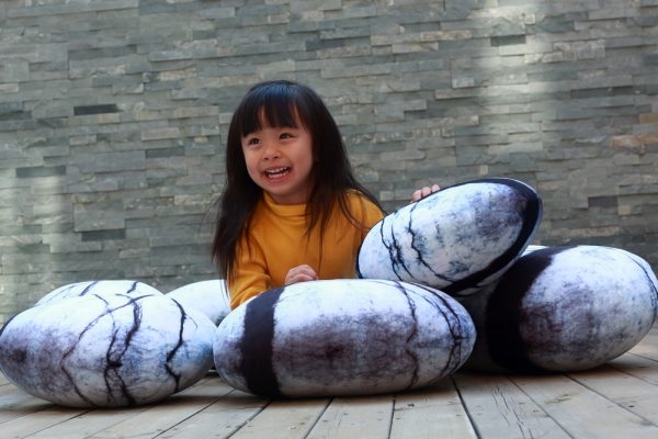 Living Stones Floor Cushions Pebble Cushions - Image 9